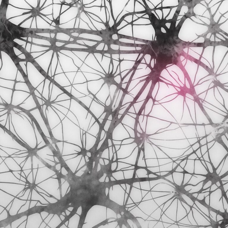 Xarxes Neuronals Artificials