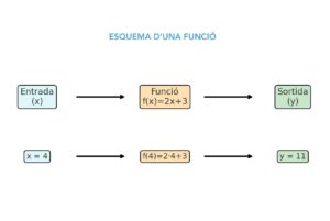 Diagram of a function: input, operation and output