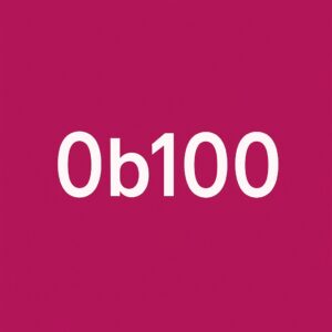 Minimalist icon representing a binary number with the prefix &ldquo;0b&rdquo;, symbolising how Python interprets integer literals in different bases.