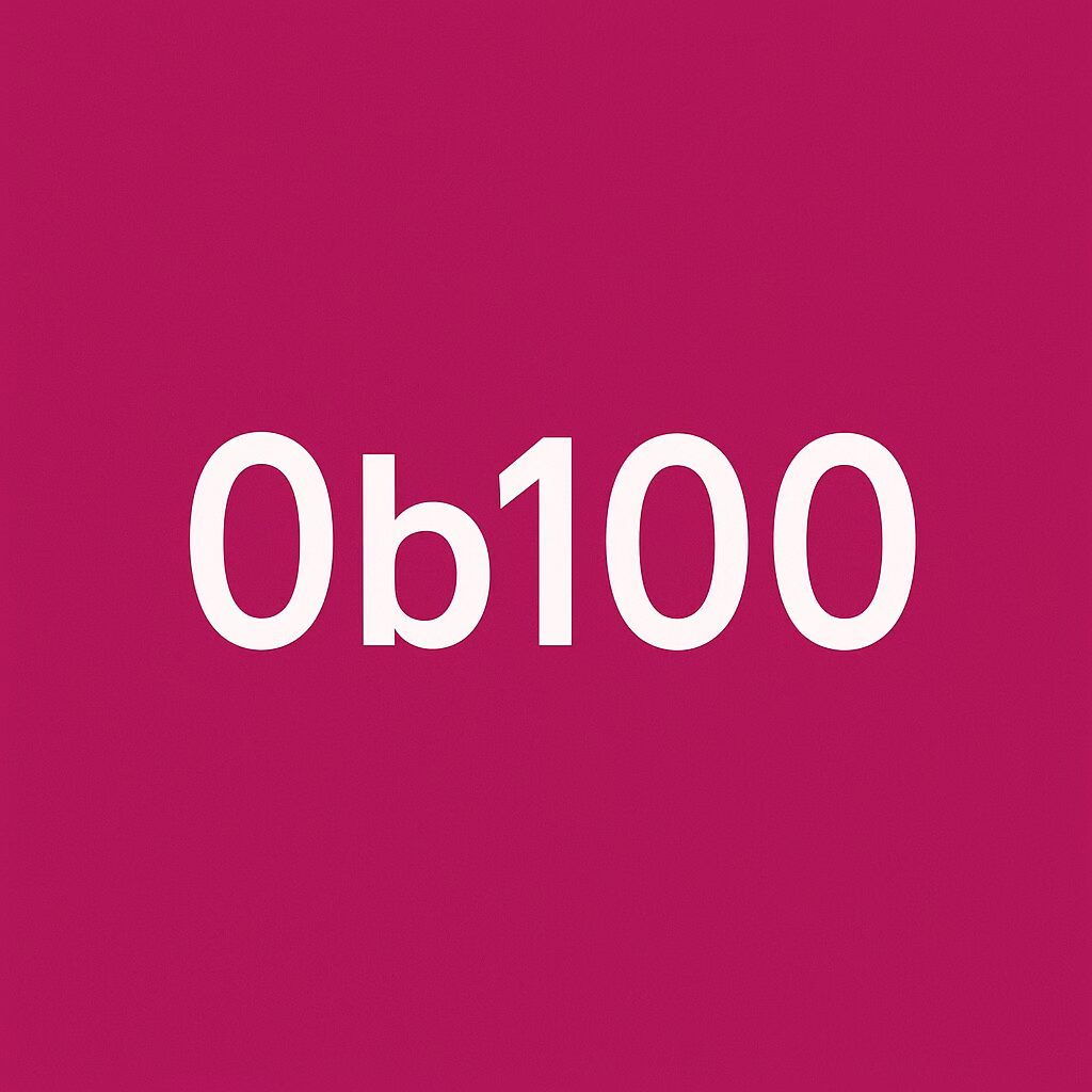 Icona minimalista que representa un nombre binari amb el prefix “0b”, simbolitzant com Python interpreta els literals enters en diferents bases.