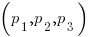 (p_1 , p_2, p_3)